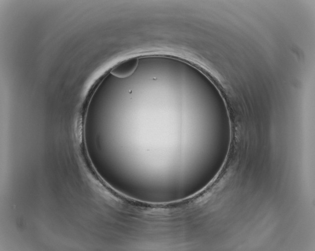 X0000110951510200906261310