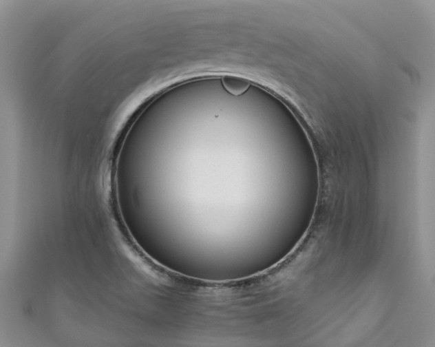X0000110951511200906261310