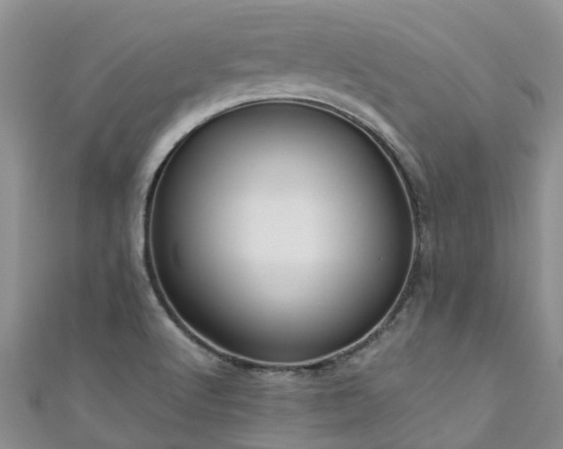 X0000110951512200906261310