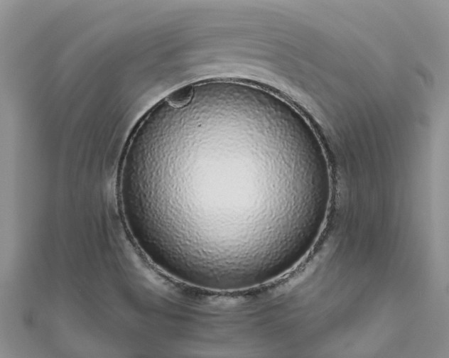 X0000110951513200906261310