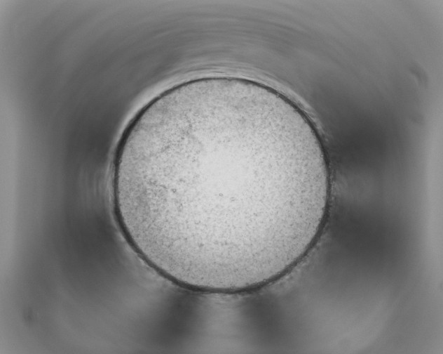 X0000110951514200906261310