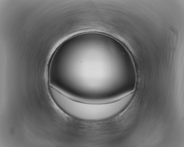 X0000110951516200906261310