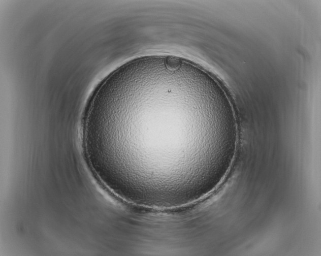X0000110951517200906261310