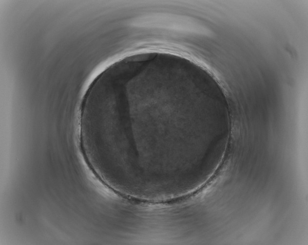 X0000110951522200906261310