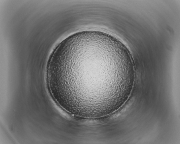 X0000110951525200906261310