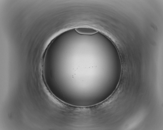 X0000110951526200906261311