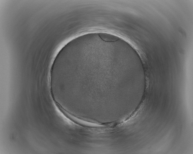 X0000110951527200906261311