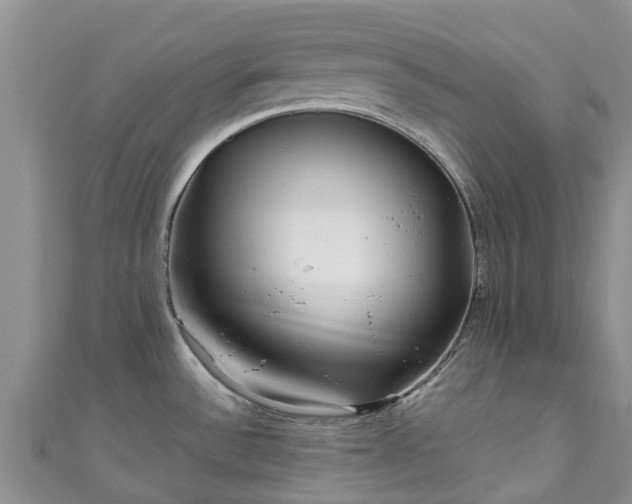 X0000110951532200906261311
