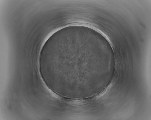 X0000110951533200906261311
