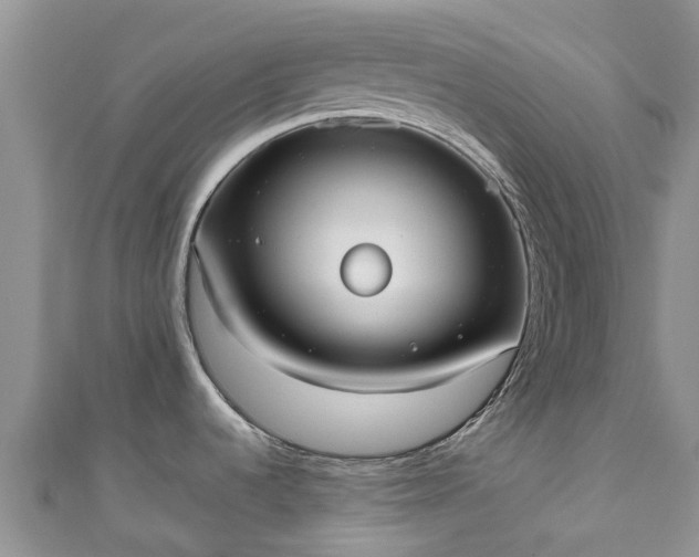 X0000110951536200906261311