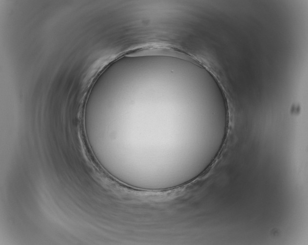 X0000110950001200907022208