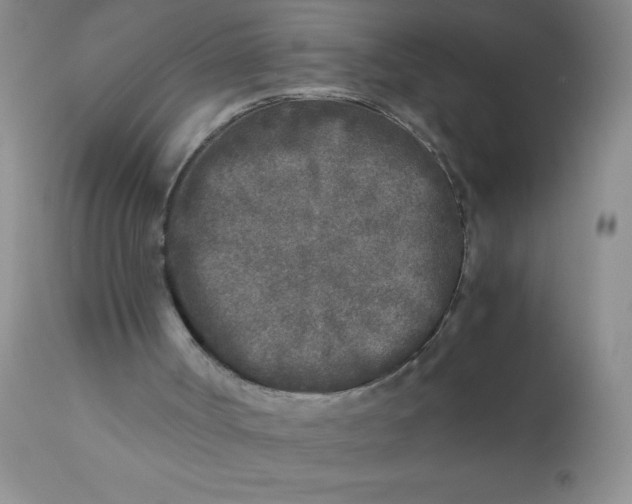 X0000110950002200907022208