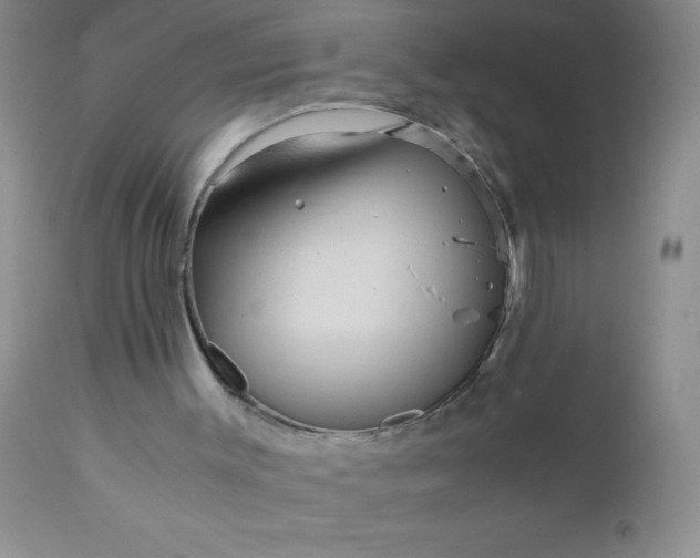 X0000110950003200907022208