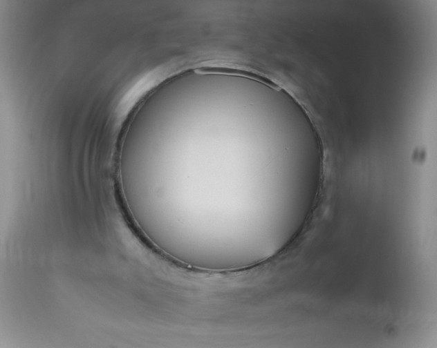 X0000110950007200907022208