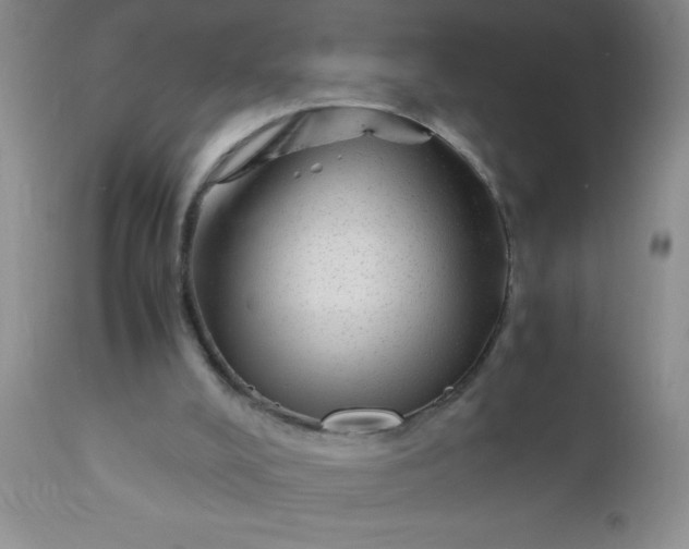 X0000110950008200907022208