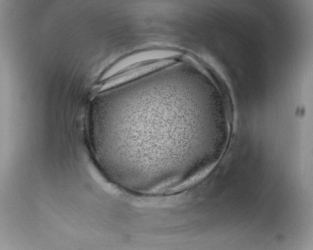 X0000110950009200907022208