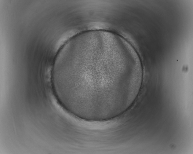 X0000110950010200907022208