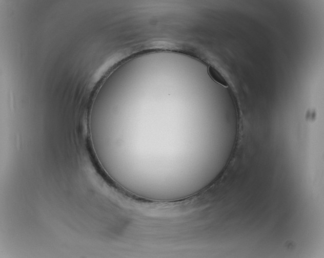 X0000110950011200907022208