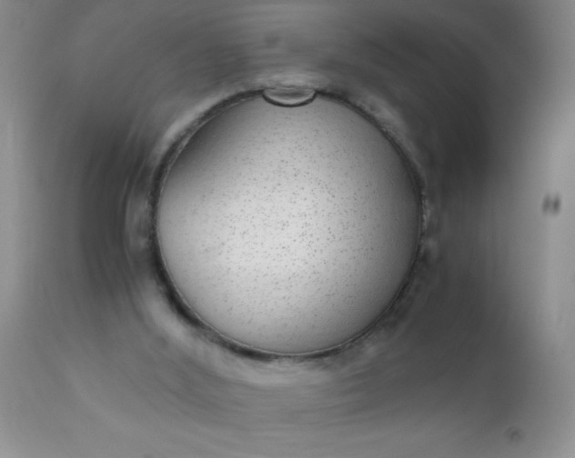 X0000110950012200907022208