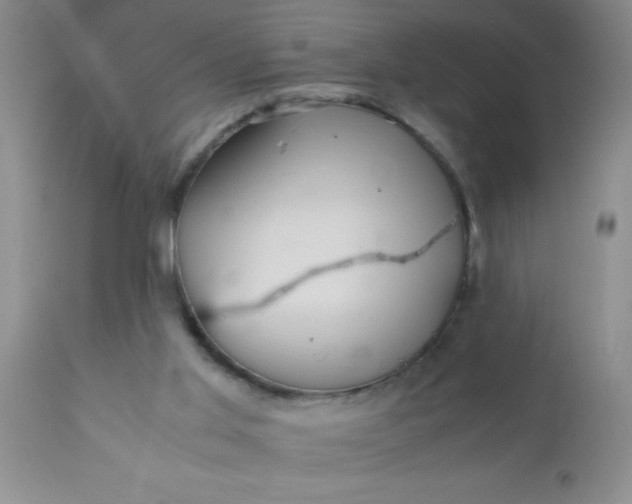 X0000110950013200907022208