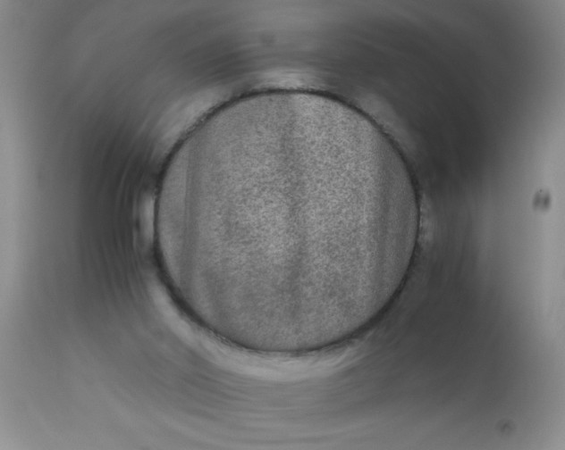 X0000110950014200907022208