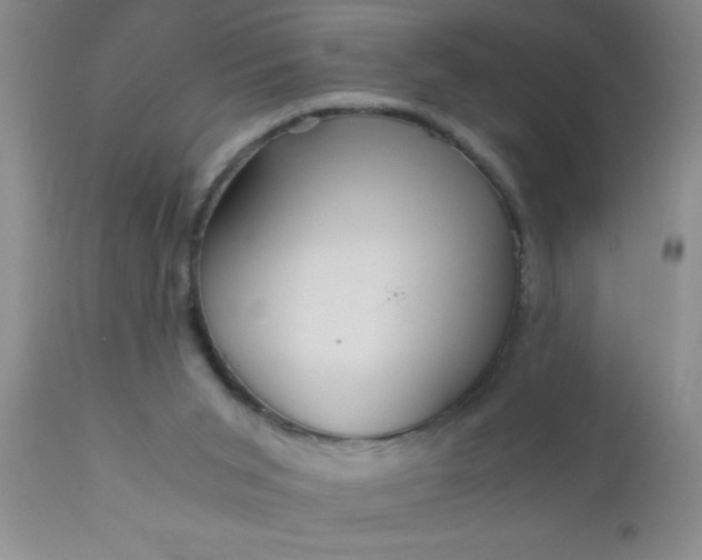 X0000110950015200907022208