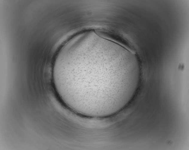 X0000110950016200907022208