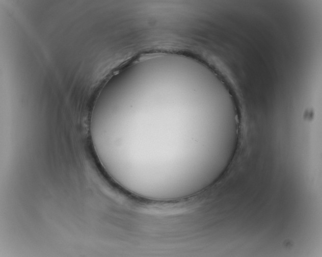 X0000110950017200907022208