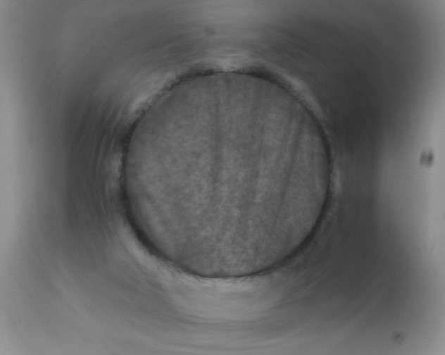 X0000110950018200907022208