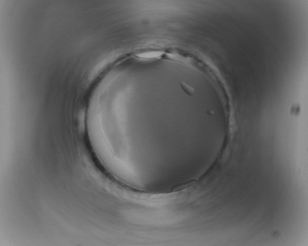 X0000110950019200907022208