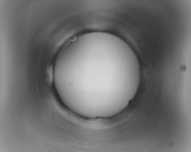 X0000110950020200907022208