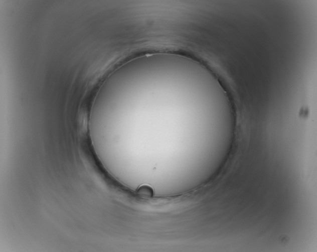 X0000110950021200907022208