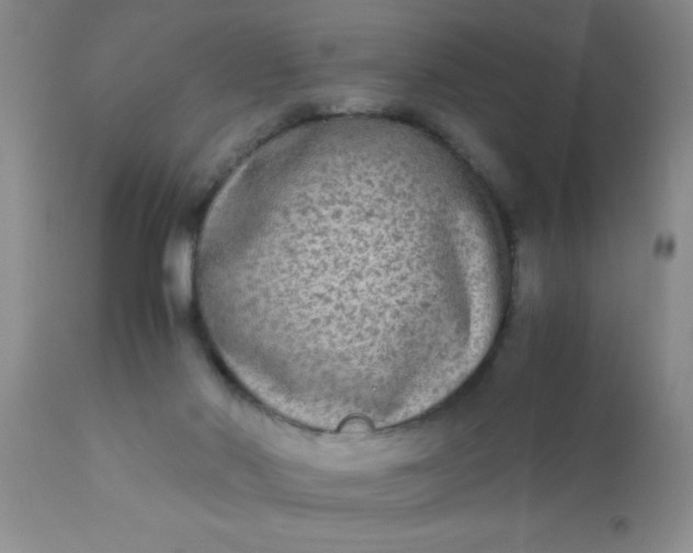 X0000110950022200907022208