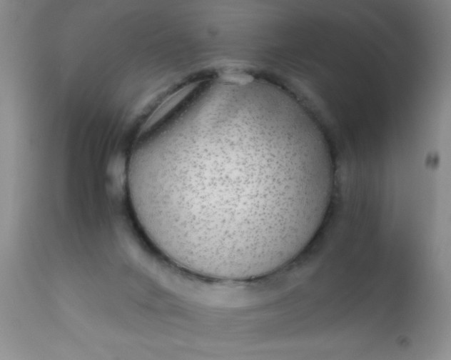 X0000110950024200907022208