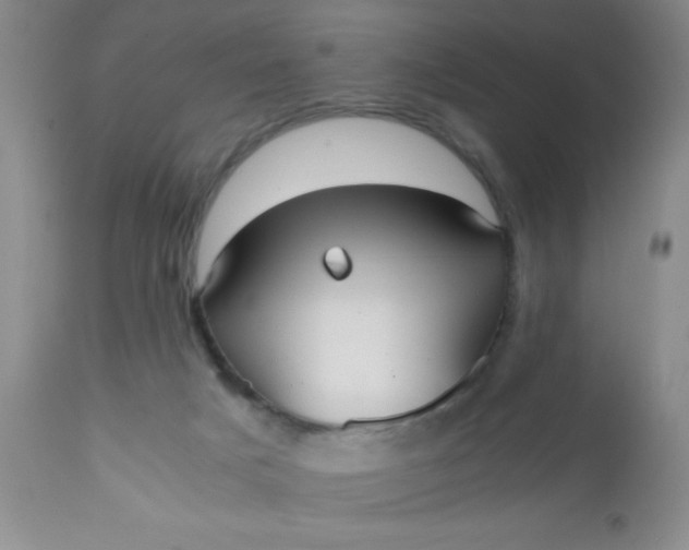 X0000110950025200907022208