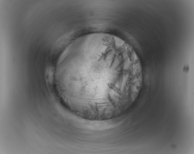 X0000110950026200907022208