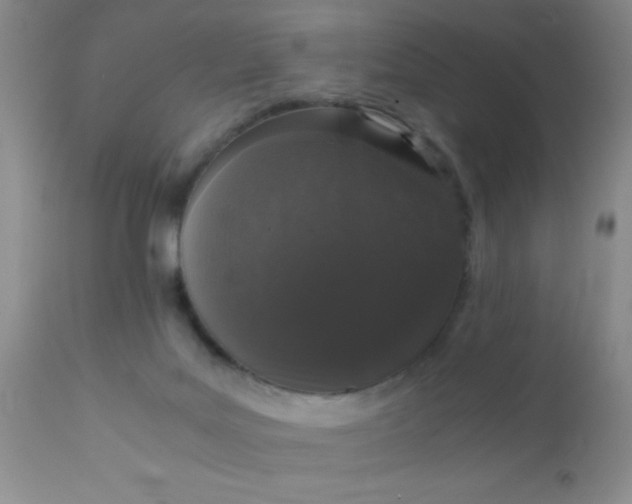 X0000110950027200907022208