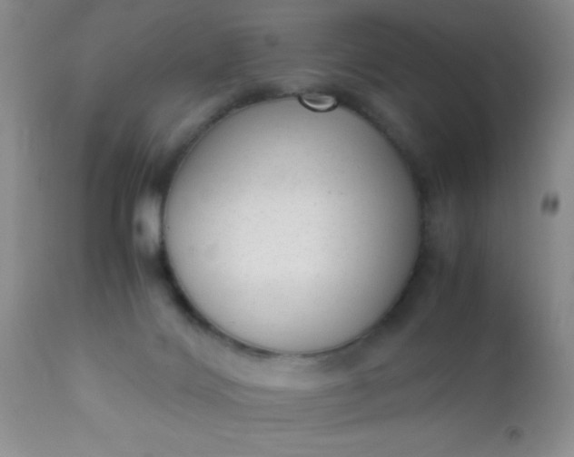 X0000110950028200907022208