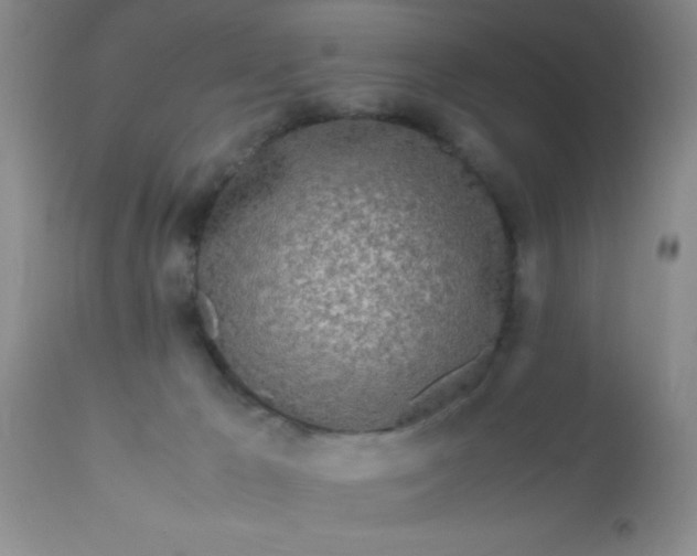 X0000110950029200907022208