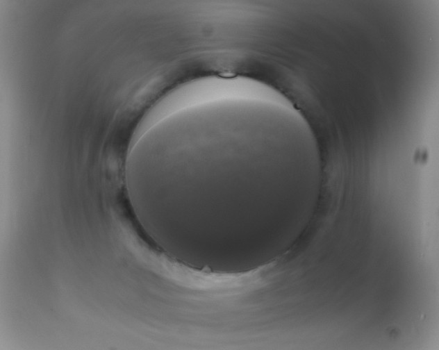 X0000110950031200907022208