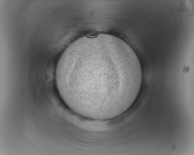 X0000110950032200907022208