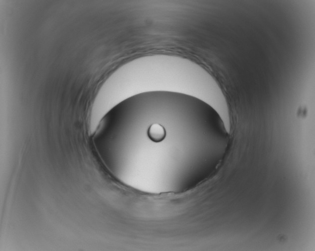 X0000110950033200907022208