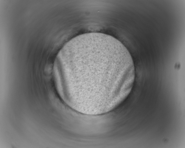 X0000110950034200907022208