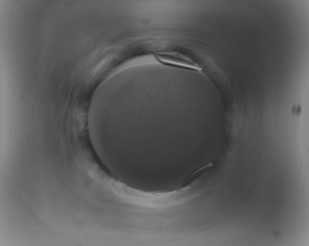 X0000110950035200907022208