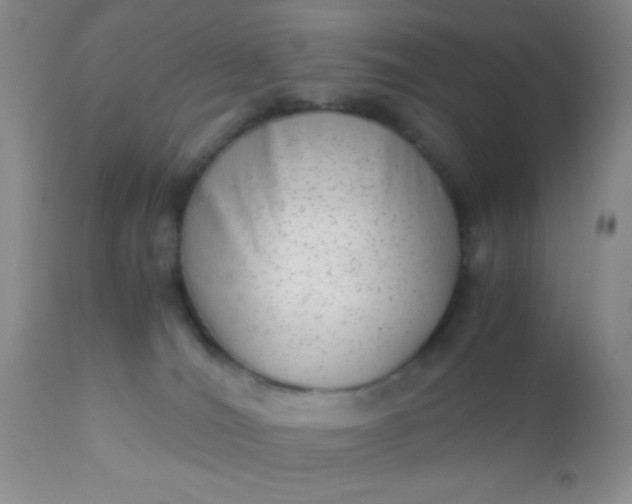 X0000110950036200907022208