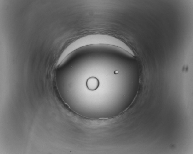 X0000110950037200907022208