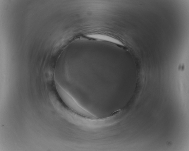 X0000110950039200907022208