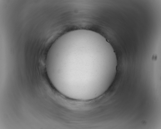 X0000110950040200907022208