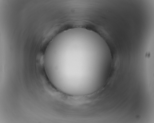 X0000110950041200907022208