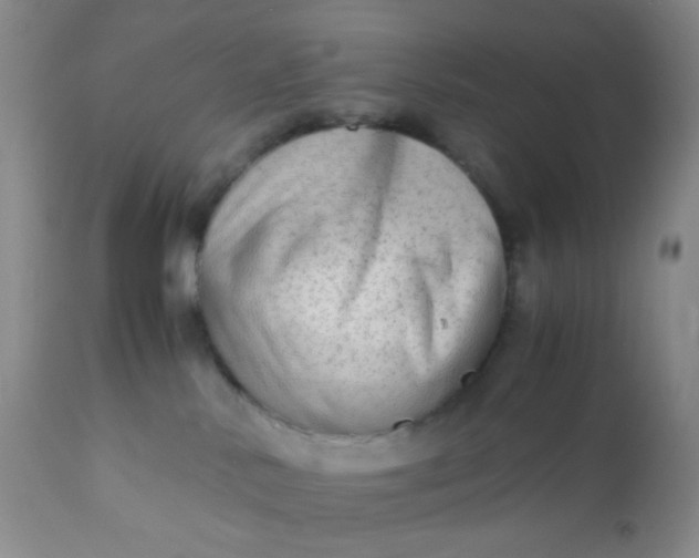 X0000110950042200907022208